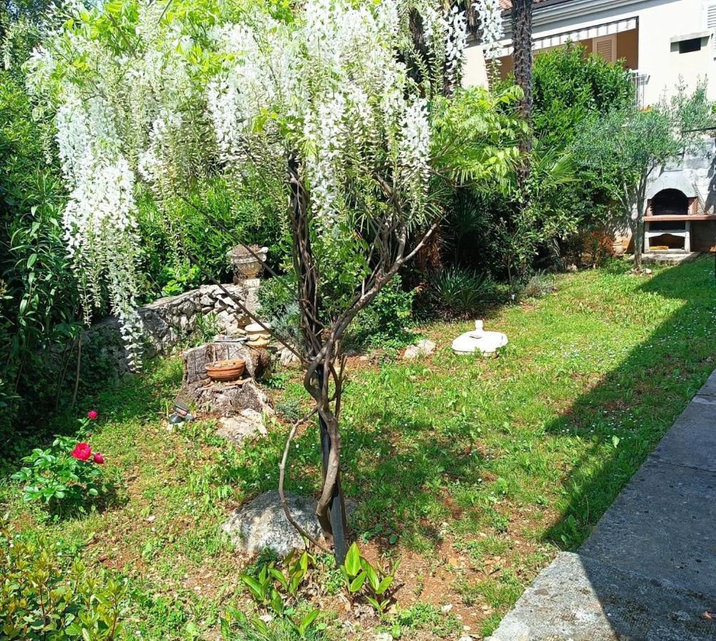 Apartment Aquamarin, Blizu Mora S Pogledom Na More, Za Do 6 Osoba マリンスカ エクステリア 写真